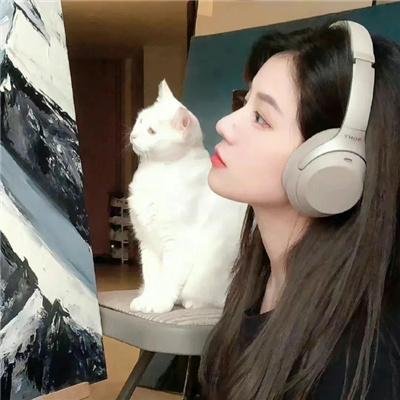 不说话的爱